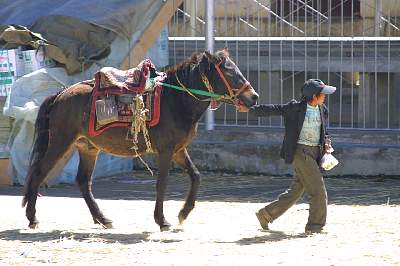 Kairen's_Tibet_133_2001-09-29 07.23.19 IMG_5068.JPG